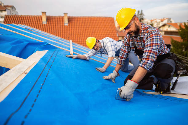 Best Storm Damage Roof Repair  in Sherman, TX